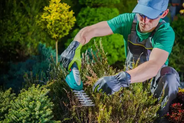 landscaping services East Dennis